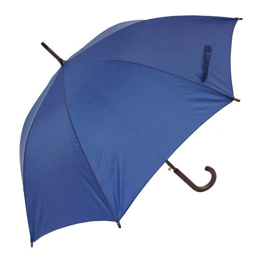 Regenschirm geöffnet